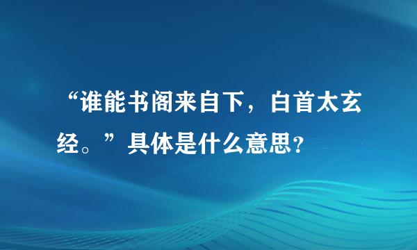 “谁能书阁来自下，白首太玄经。”具体是什么意思？