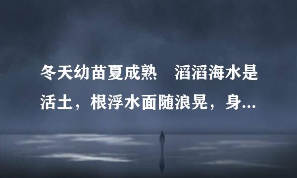 冬天幼苗夏成熟 滔滔海水是活土，根浮水面随浪晃，身潜水中漫起舞打一生肖