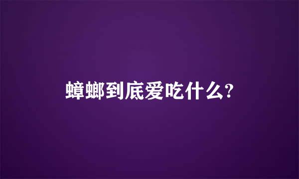 蟑螂到底爱吃什么?