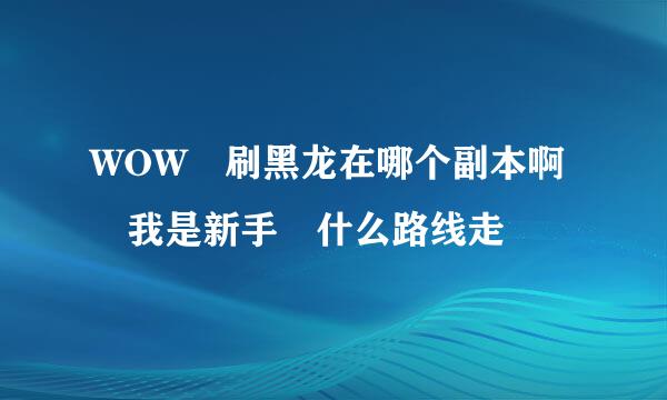 WOW 刷黑龙在哪个副本啊 我是新手 什么路线走