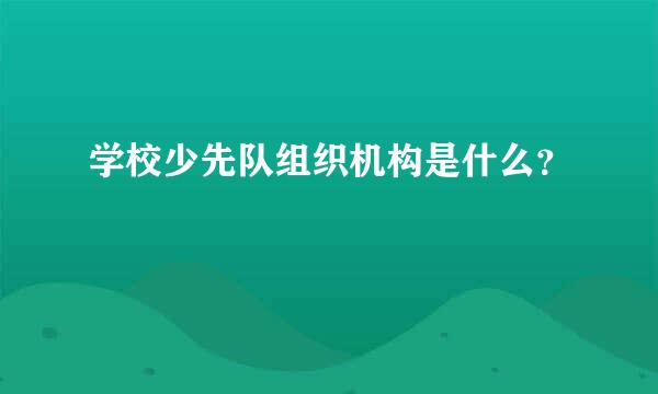 学校少先队组织机构是什么？