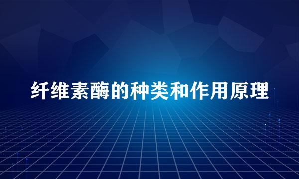 纤维素酶的种类和作用原理