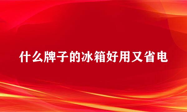 什么牌子的冰箱好用又省电