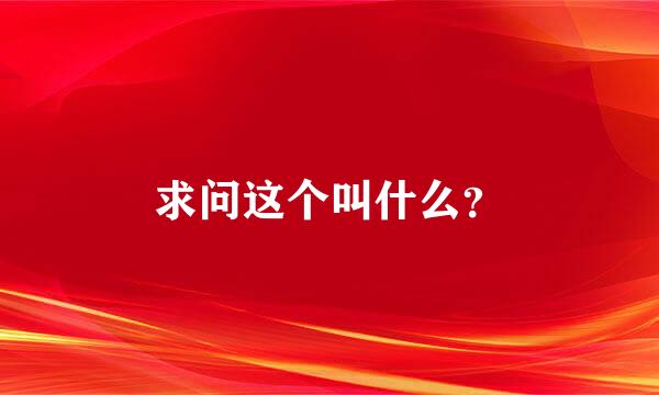 求问这个叫什么？