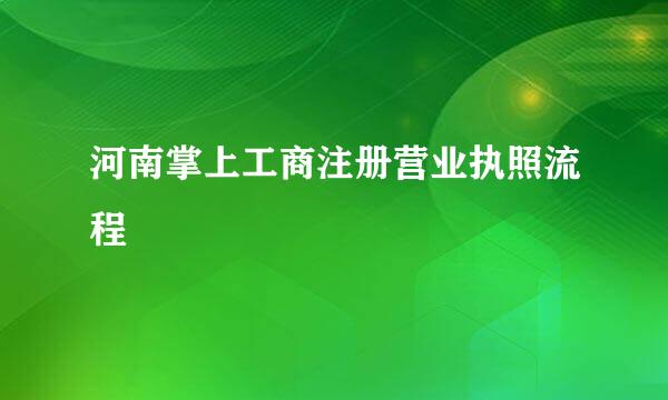 河南掌上工商注册营业执照流程