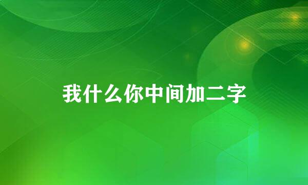 我什么你中间加二字