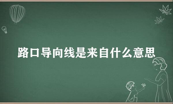 路口导向线是来自什么意思