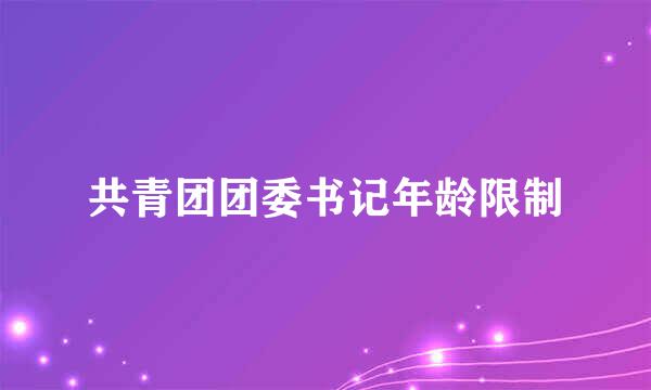 共青团团委书记年龄限制