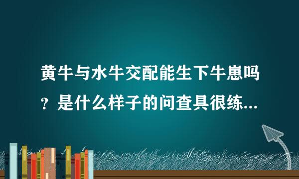 黄牛与水牛交配能生下牛崽吗？是什么样子的问查具很练伯那王任看设？