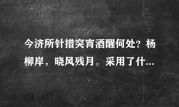 今济所针措突宵酒醒何处？杨柳岸，晓风残月。采用了什么手法？