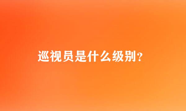 巡视员是什么级别？