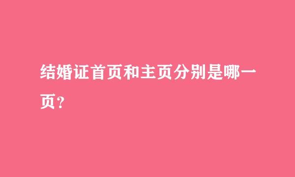 结婚证首页和主页分别是哪一页？