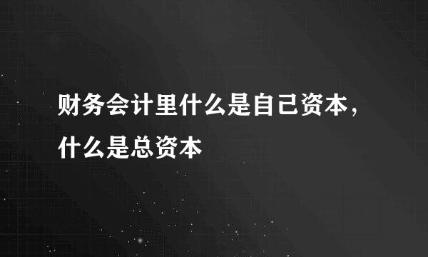 财务会计里什么是自己资本，什么是总资本