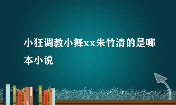 小狂调教小舞xx朱竹清的是哪本小说