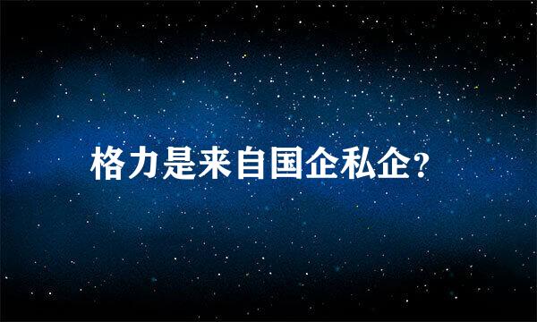 格力是来自国企私企？