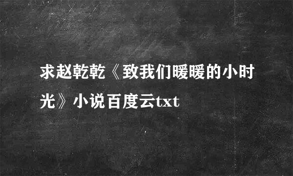 求赵乾乾《致我们暖暖的小时光》小说百度云txt