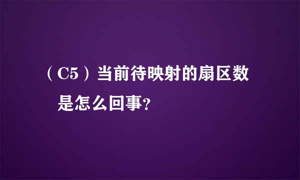 （C5）当前待映射的扇区数 是怎么回事？