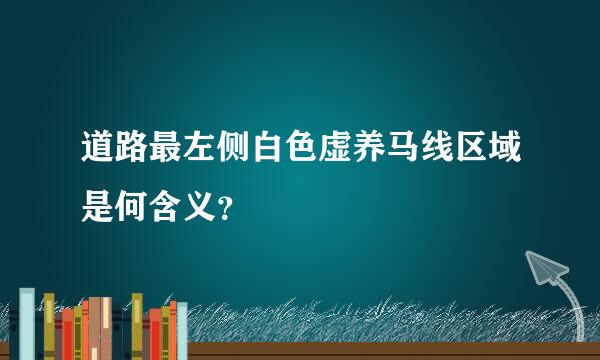 道路最左侧白色虚养马线区域是何含义？