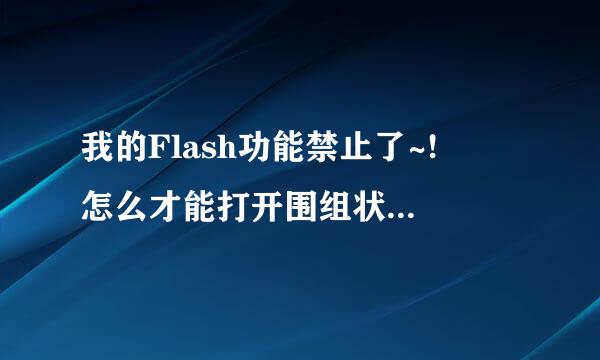 我的Flash功能禁止了~!  怎么才能打开围组状委居续等觉队金