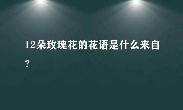 12朵玫瑰花的花语是什么来自？