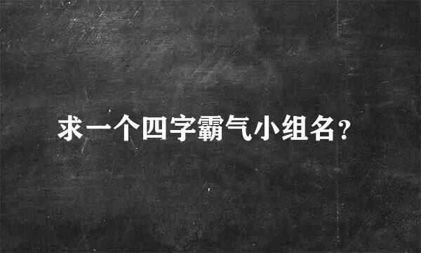 求一个四字霸气小组名？