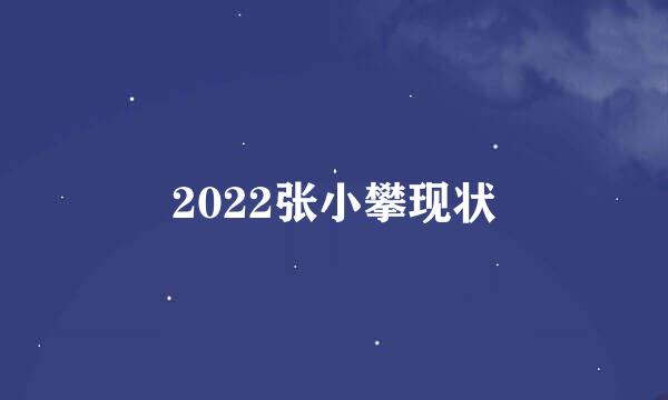 2022张小攀现状