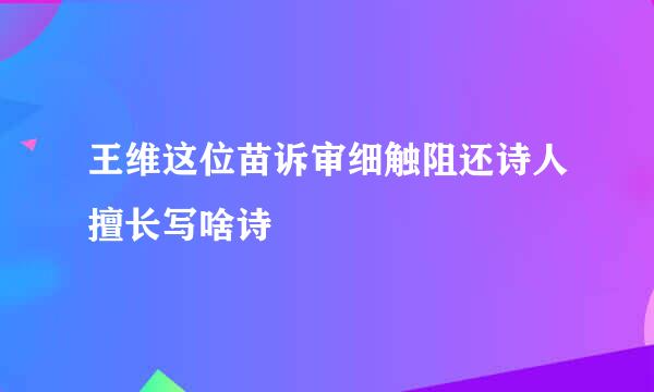 王维这位苗诉审细触阻还诗人擅长写啥诗