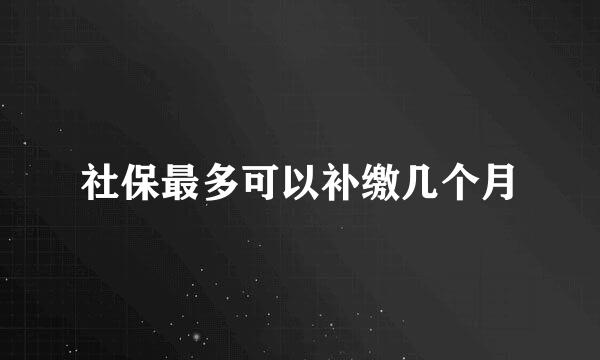 社保最多可以补缴几个月