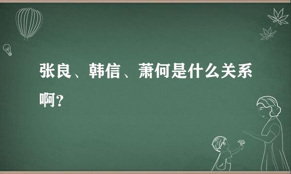 张良、韩信、萧何是什么关系啊？