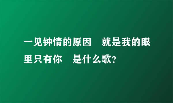 一见钟情的原因 就是我的眼里只有你 是什么歌？