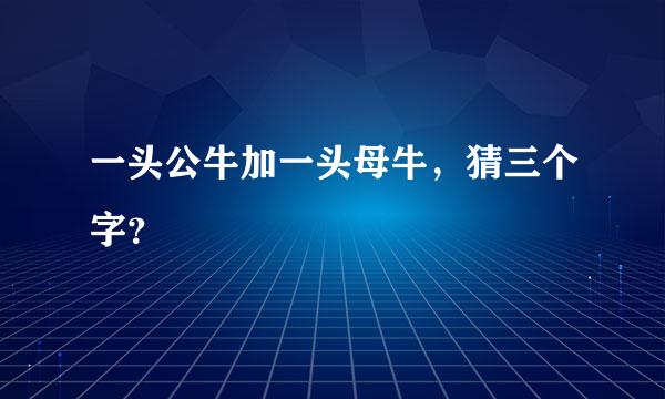 一头公牛加一头母牛，猜三个字？