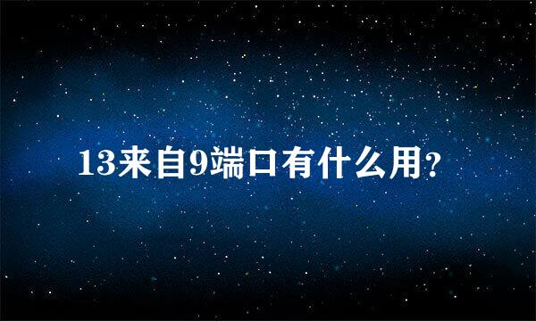 13来自9端口有什么用？