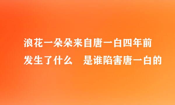 浪花一朵朵来自唐一白四年前发生了什么 是谁陷害唐一白的