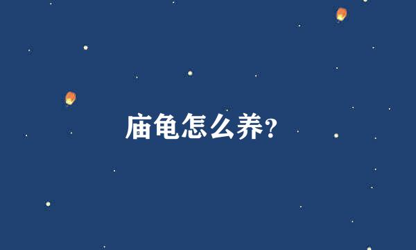 庙龟怎么养？