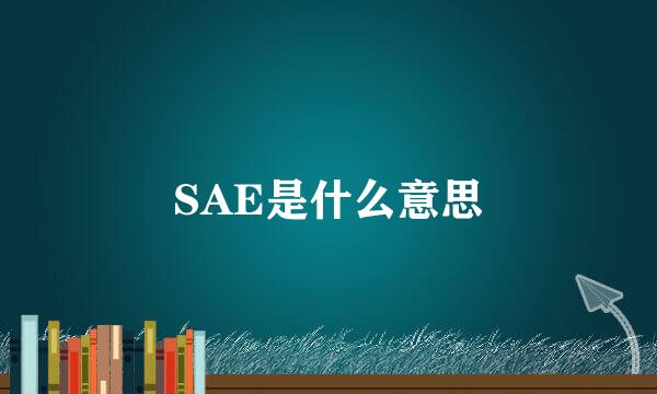 SAE是什么意思