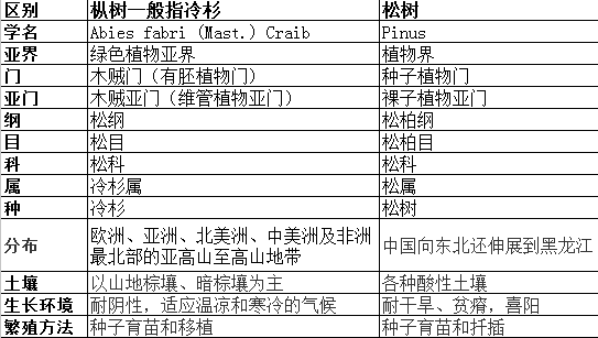 枞树和松树有什么区别？