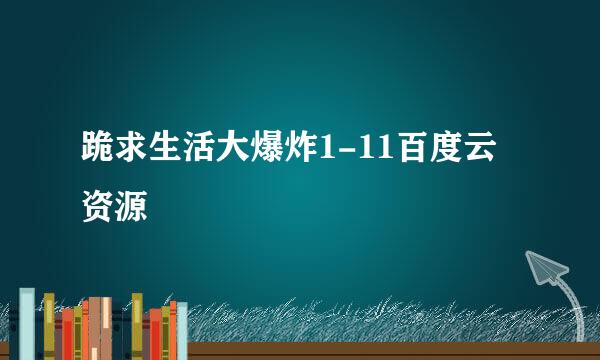 跪求生活大爆炸1-11百度云资源