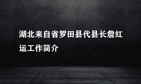 湖北来自省罗田县代县长詹红运工作简介