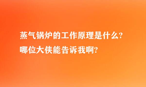 蒸气锅炉的工作原理是什么?哪位大侠能告诉我啊?