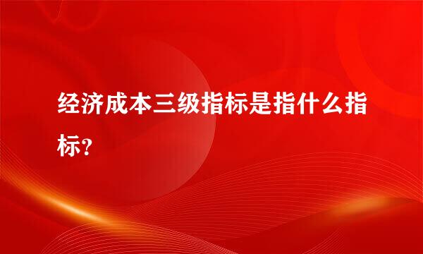 经济成本三级指标是指什么指标？