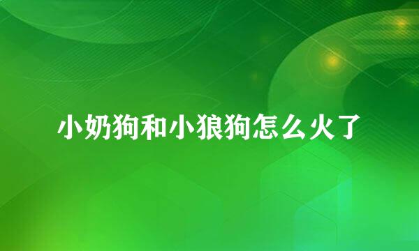 小奶狗和小狼狗怎么火了