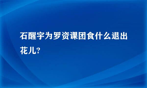 石醒宇为罗资课团食什么退出花儿?