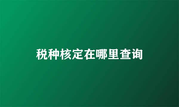 税种核定在哪里查询