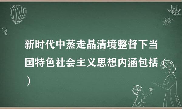 新时代中蒸走晶清境整督下当国特色社会主义思想内涵包括（）