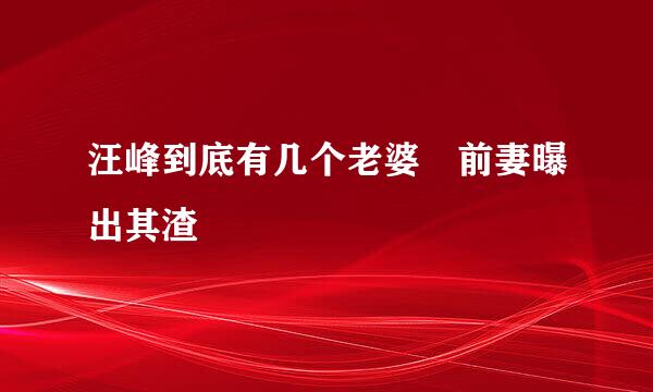 汪峰到底有几个老婆 前妻曝出其渣