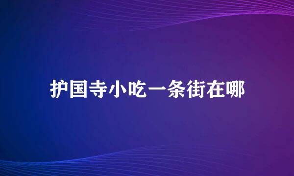 护国寺小吃一条街在哪