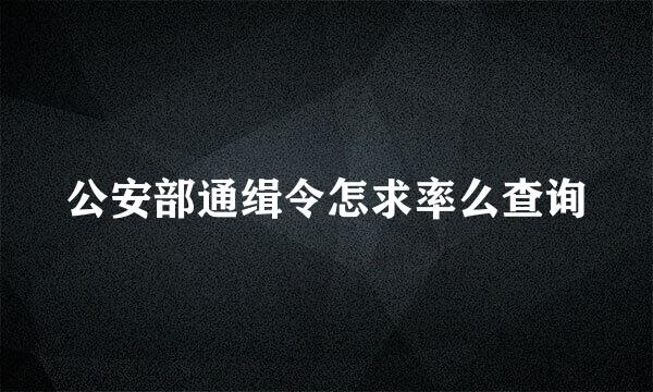 公安部通缉令怎求率么查询