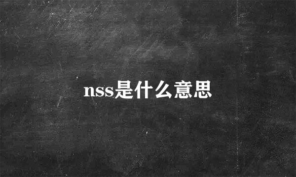 nss是什么意思