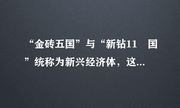 “金砖五国”与“新钻11 国”统称为新兴经济体，这些国家目前在经济发展方面的