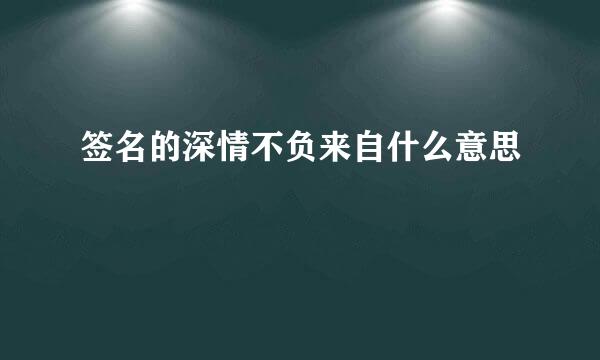 签名的深情不负来自什么意思